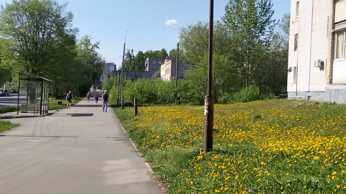Стало известно, какой будет погода в Кировской области 21 мая