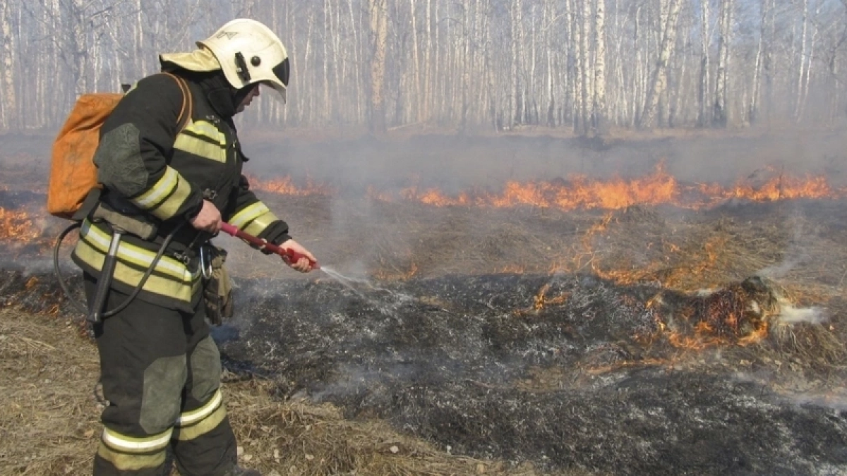 В Кировской области стало в 15 раз меньше лесных пожаров