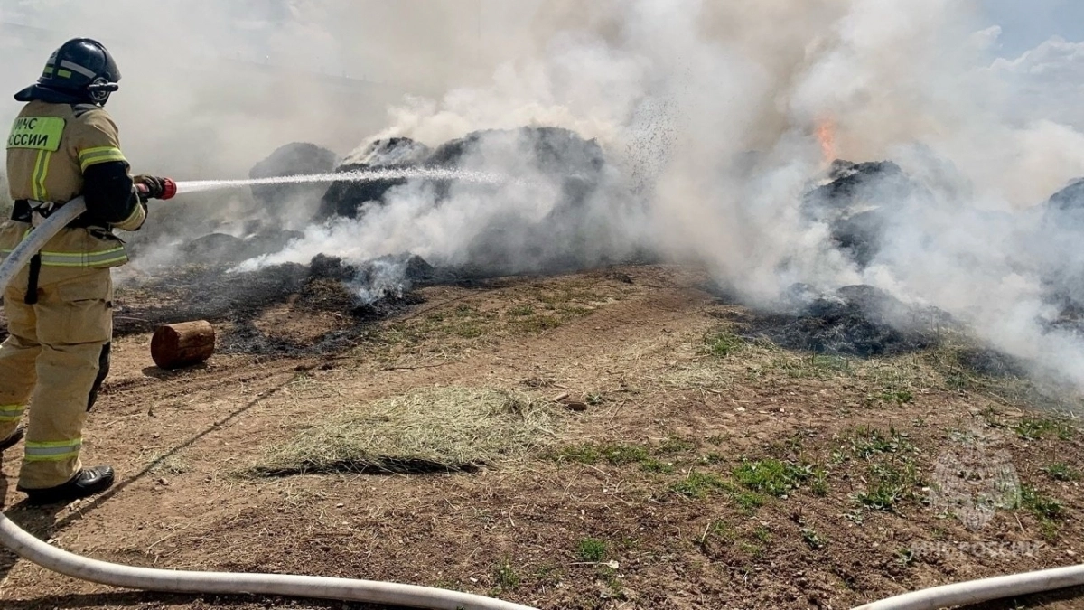 Сразу в трех районах Кировской области прогнозируют максимальную угрозу пожаров