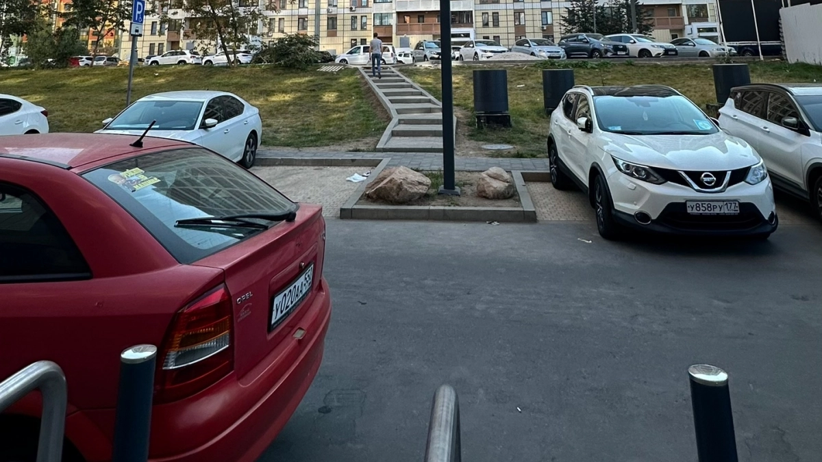 Выезжаете на природу на машине — готовьте деньги: семь летних автомобильных штрафов, которые получают даже аккуратные водители