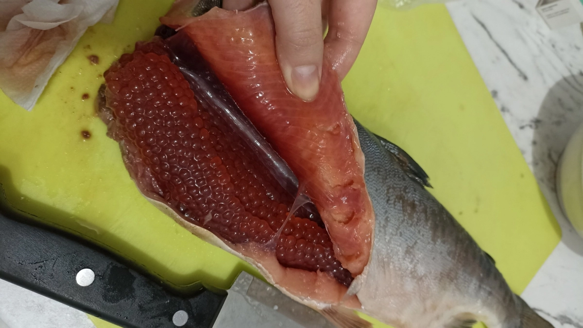 Купила горбушу, а внутри вкуснейшая икра: вот простой способ засолки без сложных инструментов за 30 минут - пальчики оближешь