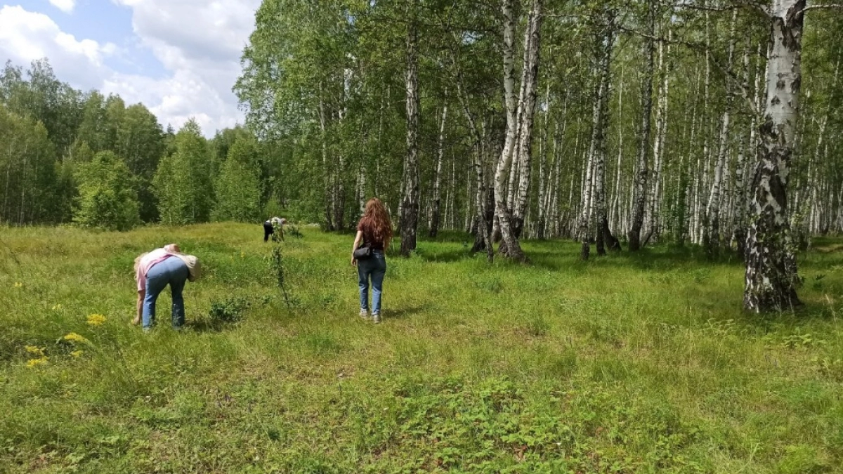 Что нужно знать, чтобы всегда находить грибы в любом лесу: 5 лайфхаков бывалого грибника, которые удвоят вашу корзину