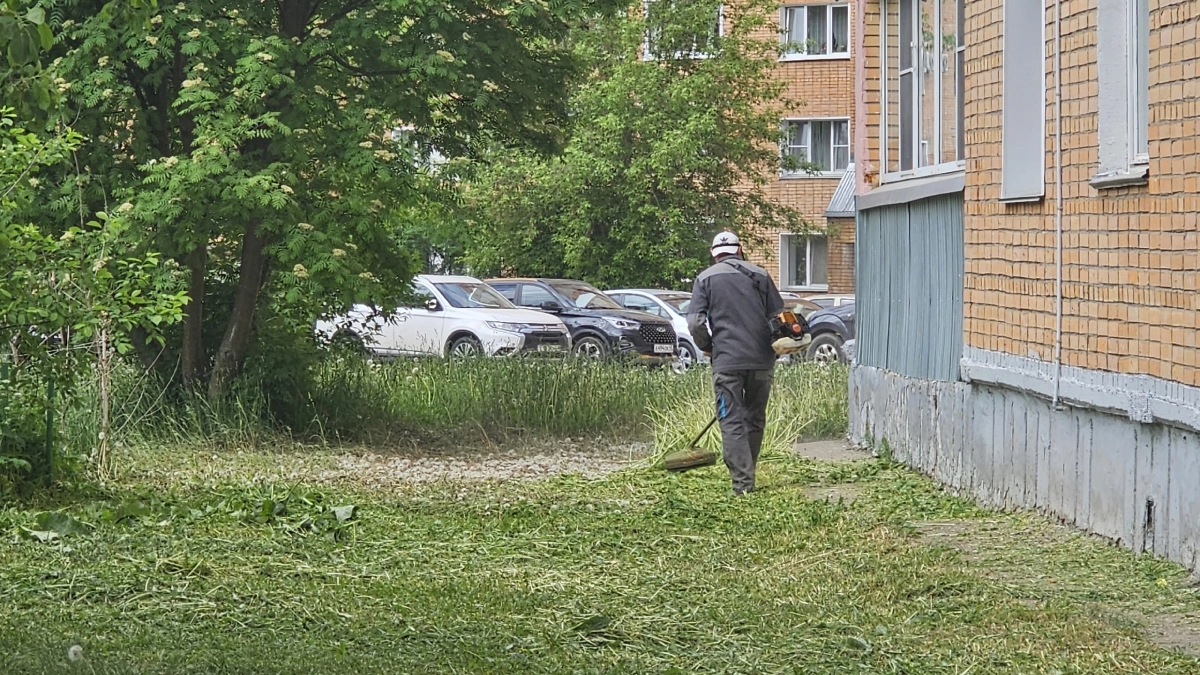 Метеорологи рассказали, почему летом в Кировской области наступит похолодание