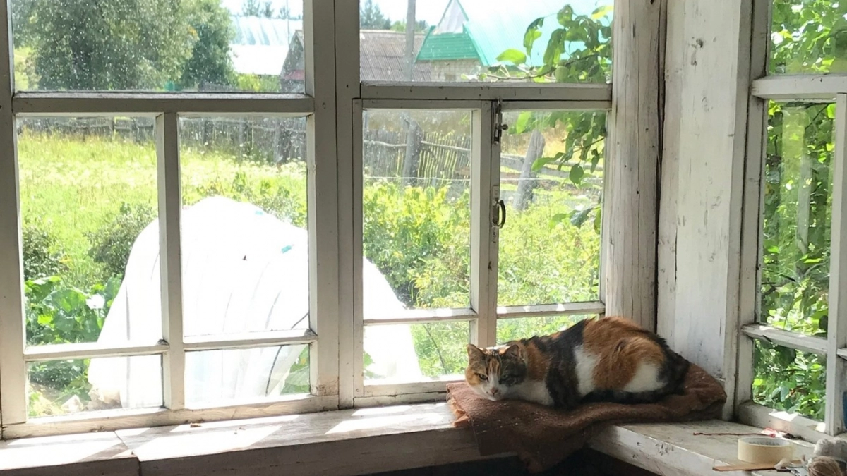 Почему в деревнях резко перестали сажать огороды - вот в чем главная причина