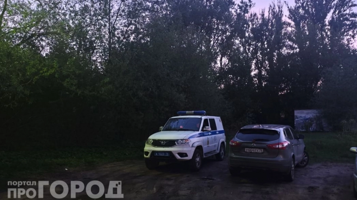 В Кирове двое ранее судимых мужчин похитили молодого местного жителя