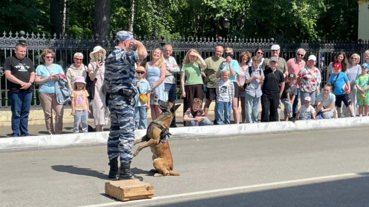 Ретроавтомобили ГАИ и служебные собаки: в Кирове прошла акция "Один день с полицией России"