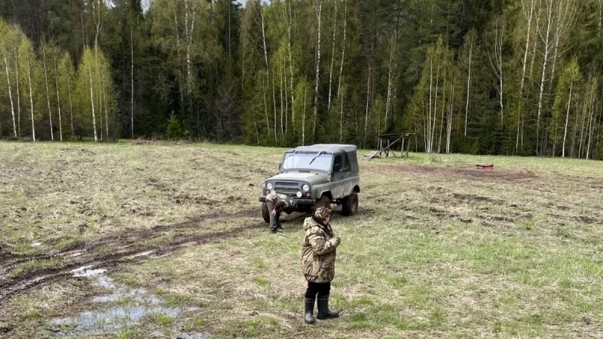 В Кировской области осудили мужчину за незаконную охоту на бобра