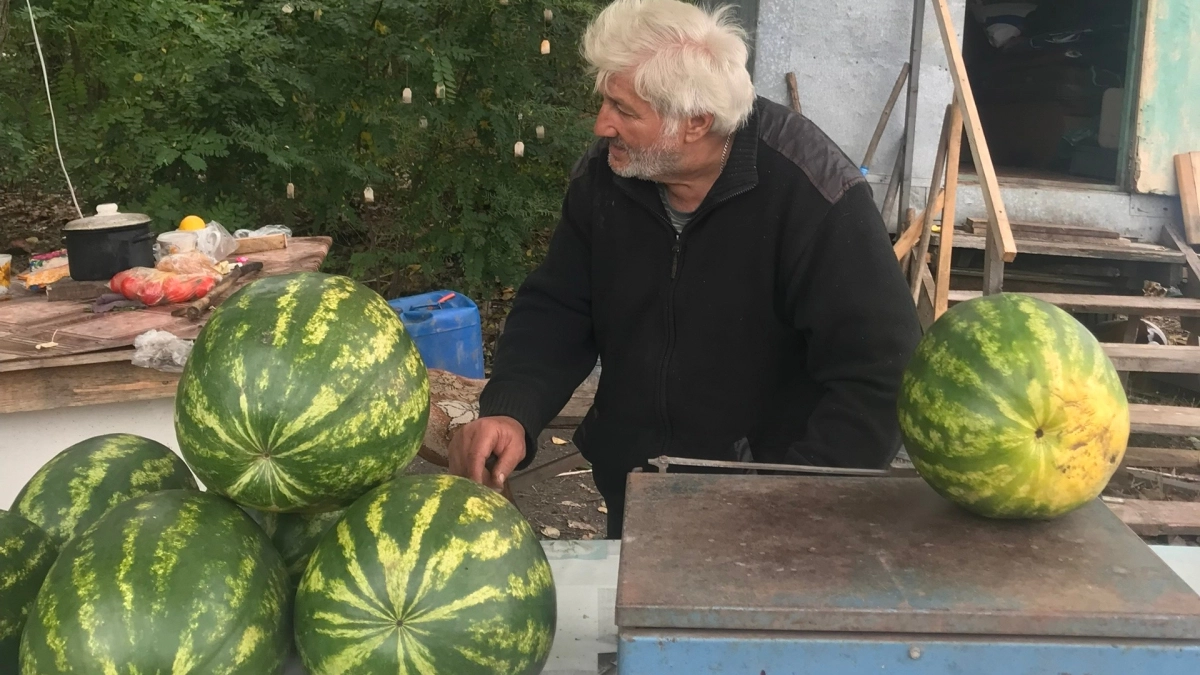 Продавцы об этом молчат: агроном объяснил, как за 1 минуту найти самый сладкий арбуз среди десятков одинаковых