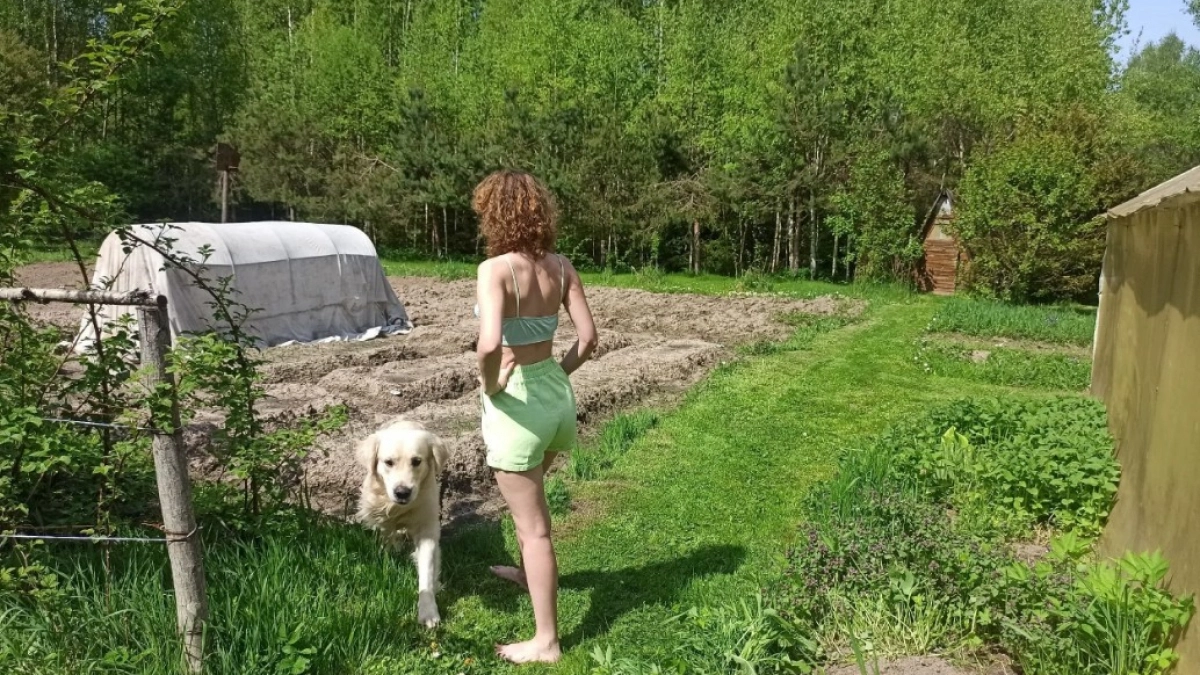 За одну ночь избавилась от популяции слизней на грядках - теперь капуста и бархатцы под защитой: простой трюк с яичными лотками