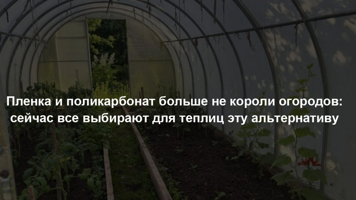 Пленка и поликарбонат больше не короли огородов: сейчас все предпочитают для теплиц этот вариант - куда надежнее и удобнее