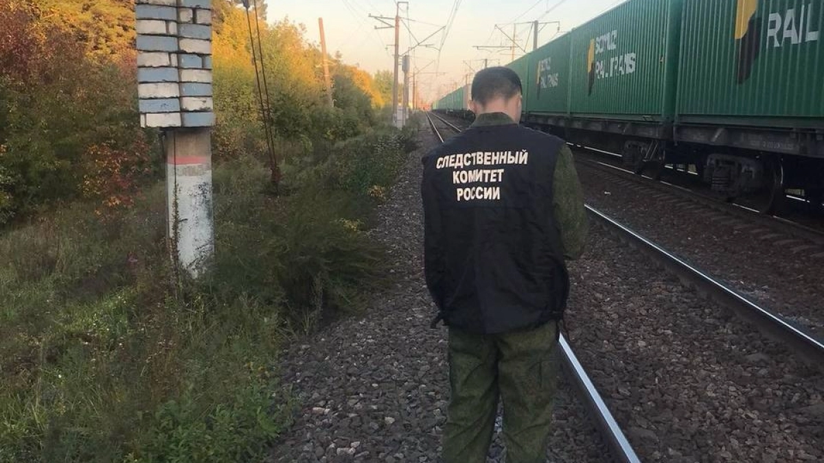 В Котельничском районе вышедший из леса мужчина попал прямо под мчащийся поезд