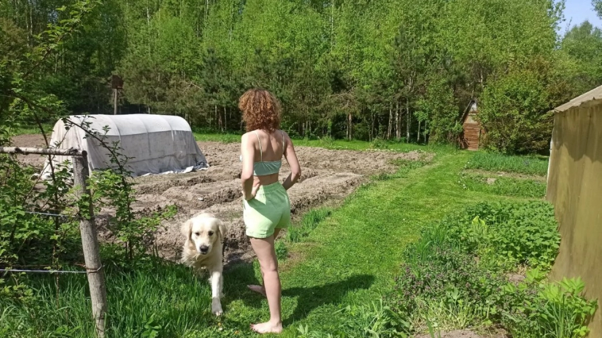 Хитрый трюк с бутылками - и пленку с парника не сорвет даже штормовой ветер