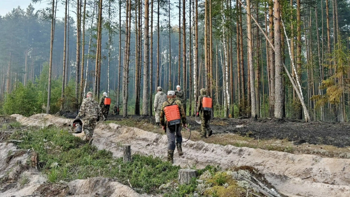 В Кировской области 17 человек тушили замеченный с воздуха лесной пожар