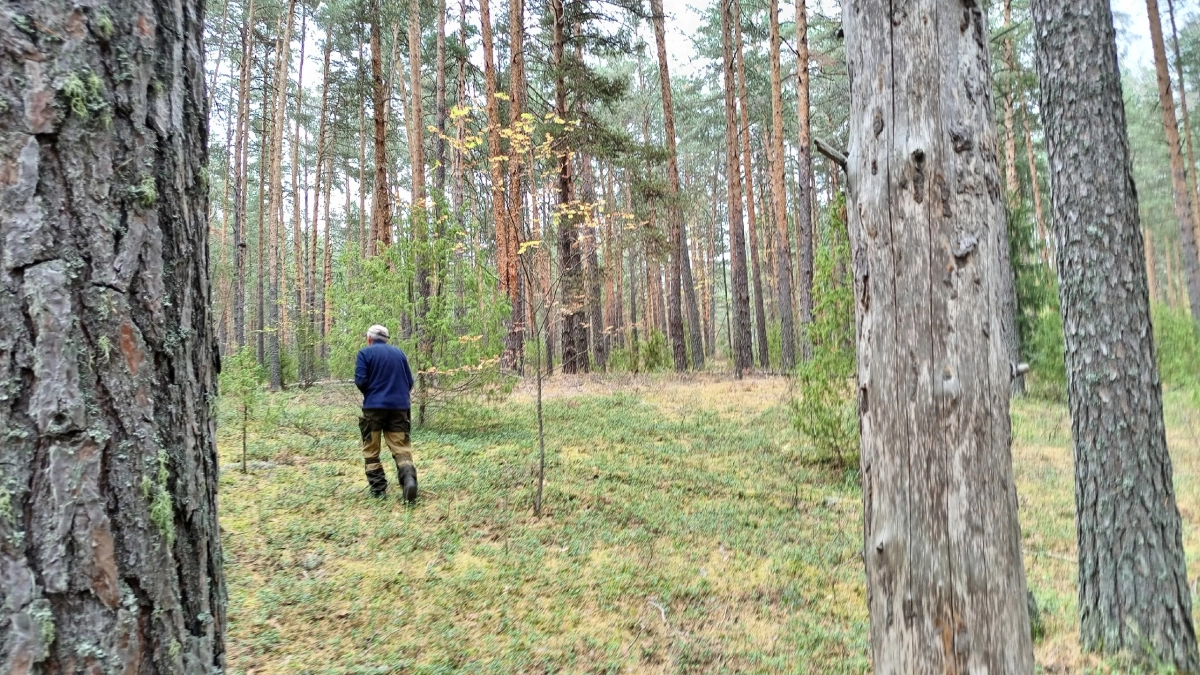 В Слободском районе землю завалили мусором и зарослями