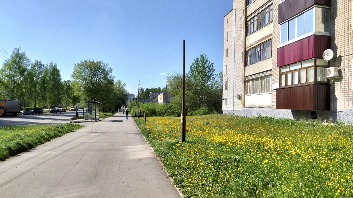 Синоптики назвали даты возвращения жары в Кировскую область