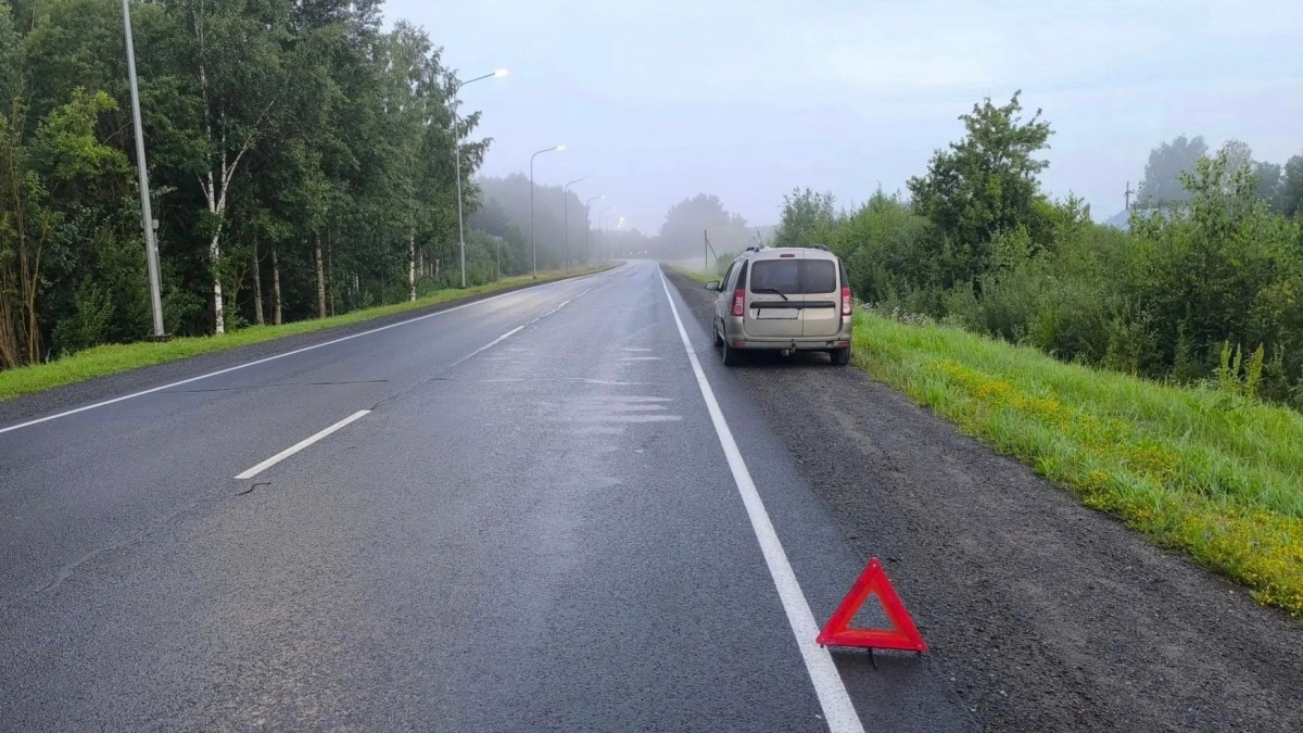 Ночной заход по туманной трассе под Котельничем обернулся для пешехода смертью