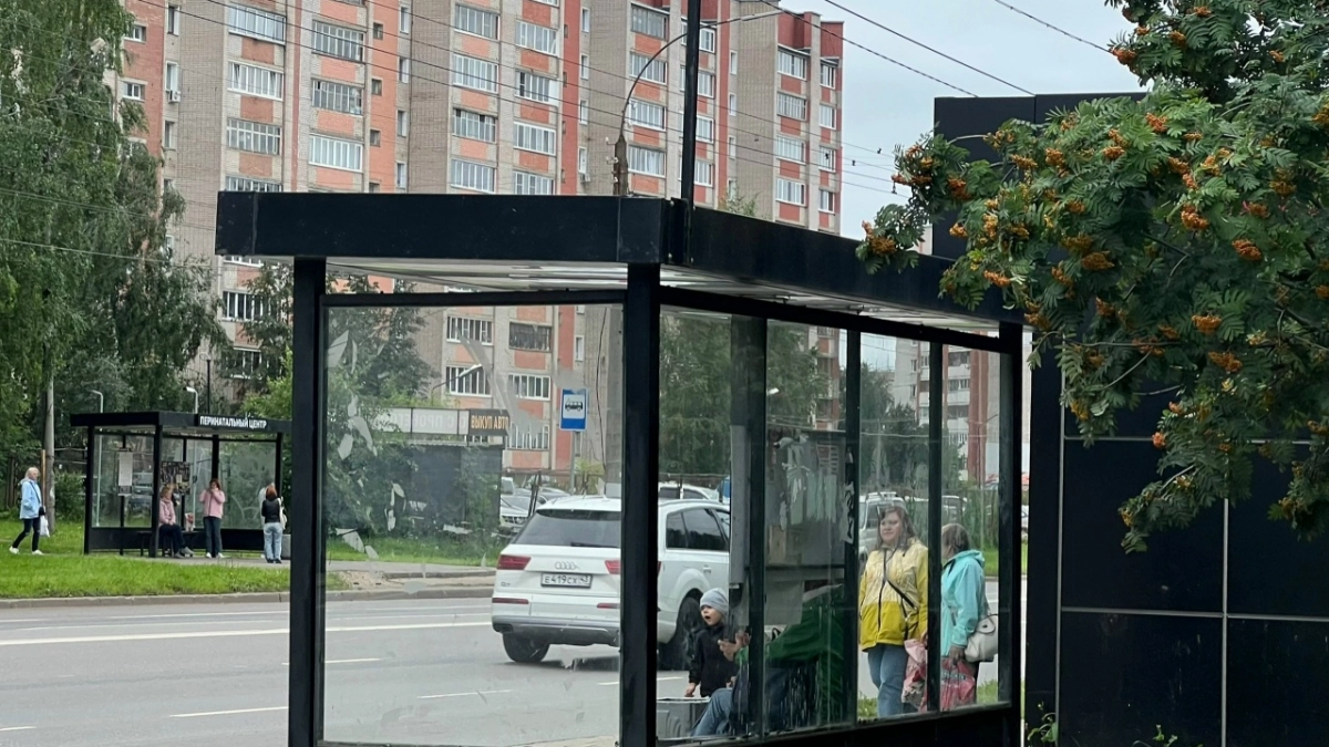 До +30°C и без дождей: погода в Кирово-Чепецке на 21 июля порадует летним теплом