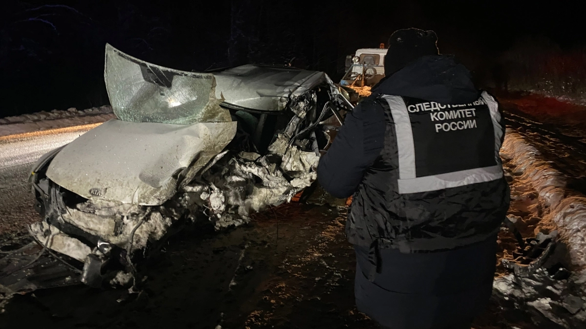 Потерявшей ребенка в резонансном ДТП под Кировом семье выплатят 4 млн рублей