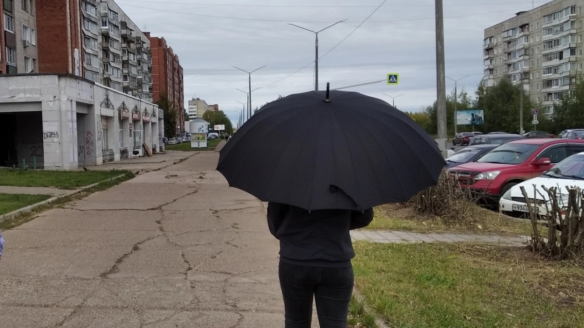 Ливни, грозы, сильный ветер: непогода снова ударит по Кировской области