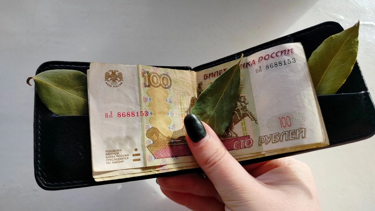 Почему нужно класть лаврушку в кошелёк: старинная примета, которая работает до сих пор