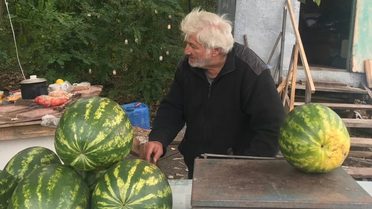 Стучать по арбузу больше не нужно: агроном назвал единственный способ найти самый сладкий плод на прилавке