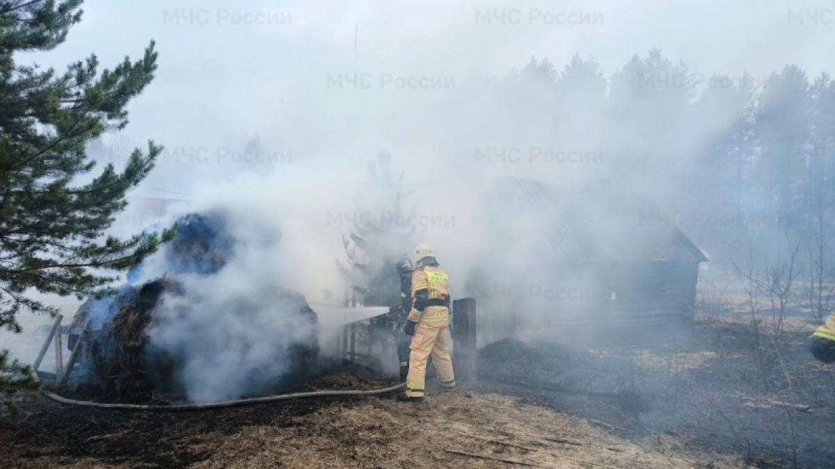 В МЧС России снова предупреждают о высокой пожароопасности в Кировской области