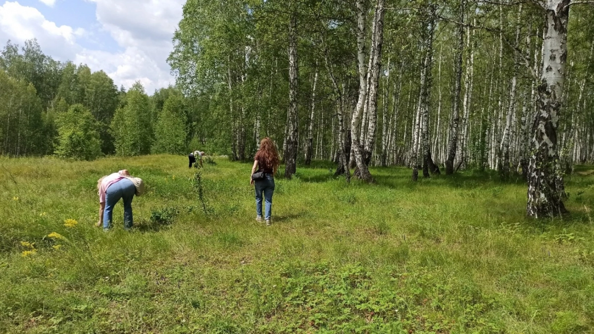 "Не ходи в тот лес, только время зря потеряешь": 3 признака грибного места - за 5 минут полная корзинка. Мнение биолога