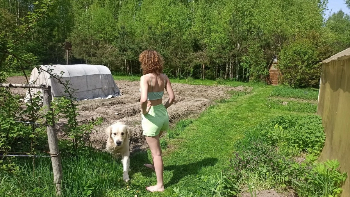 Почему на участке постоянно стоят лужи и кругом болото: проблема, о которой забывают многие дачники