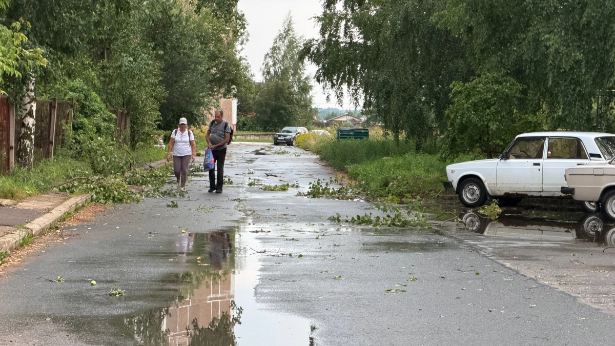 В Кирово-Чепецке отремонтировали светофор и убрали ветки на тротуаре 
