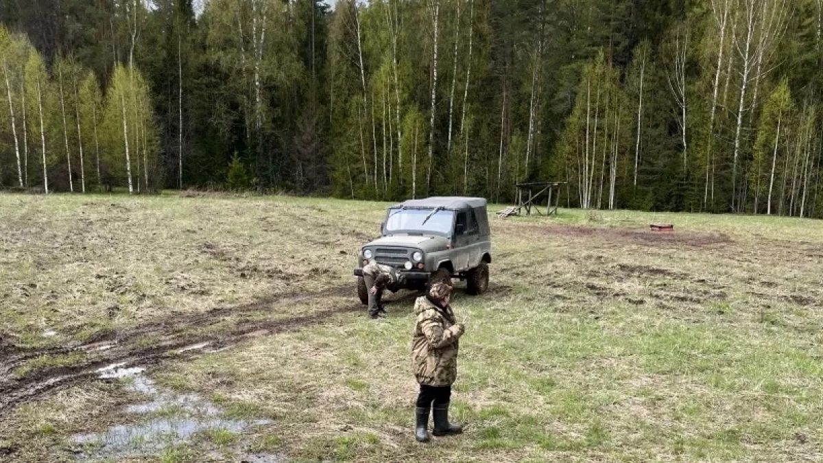 В Кировской области начался сезон охоты на болотную и боровую дичь