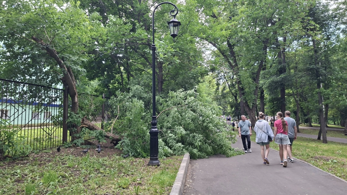 Вчера общались, сегодня игнор: 4 причины, почему люди исчезают без объяснений