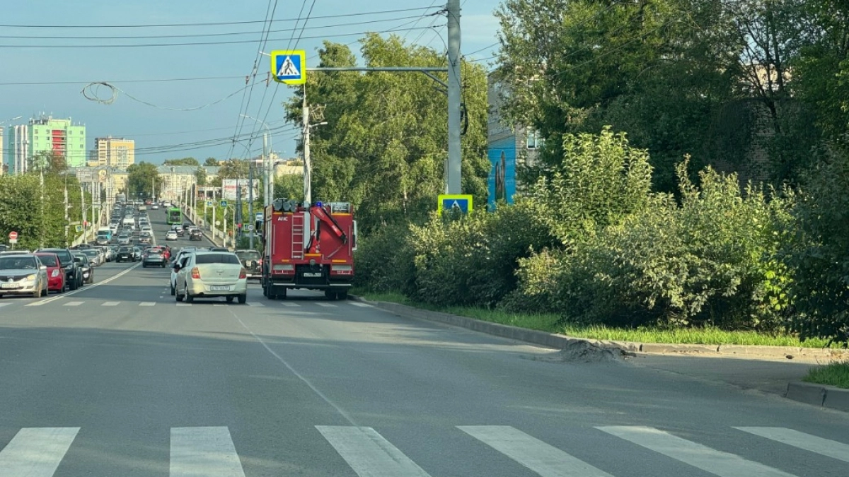 Шаг на "зебру" теперь не в вашу пользу: Верховный суд дл четкий ответ, как водитель должен уступать пешеходу - запомните раз и на всю жизнь