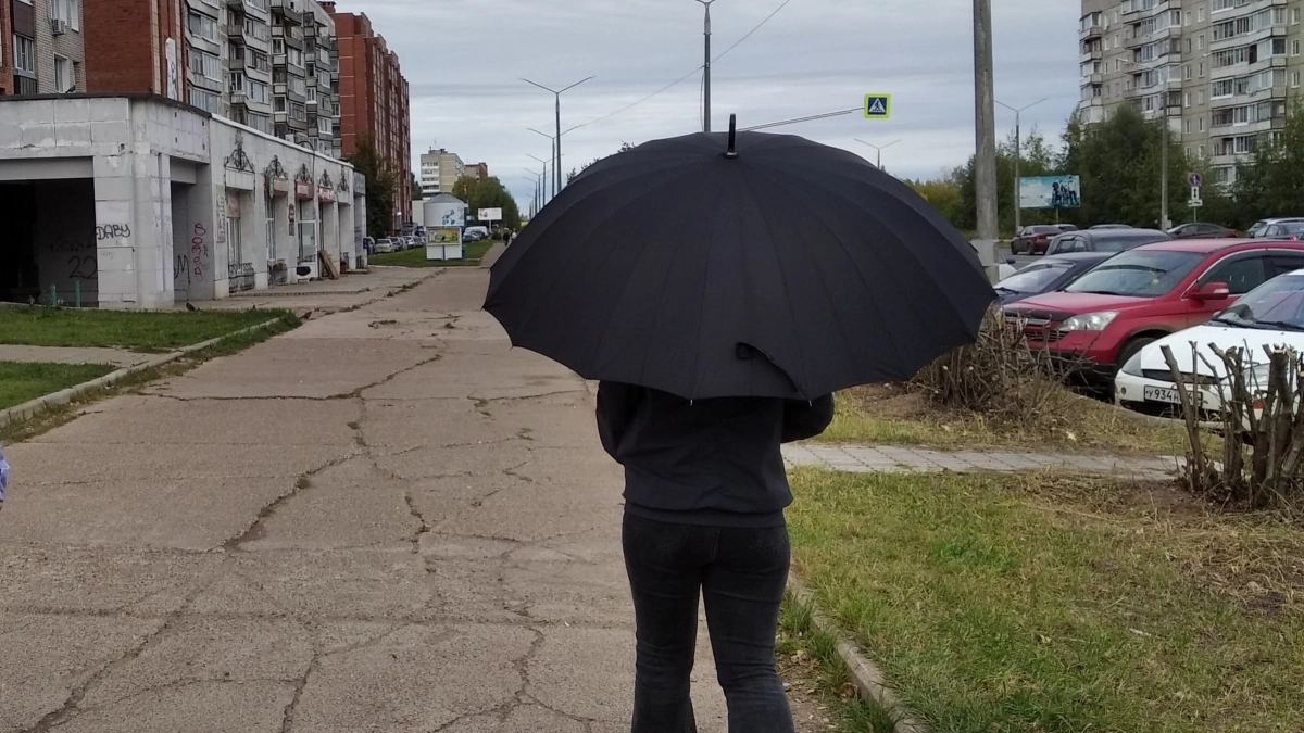 Стал известен прогноз погоды в Кировской области на 12 августа