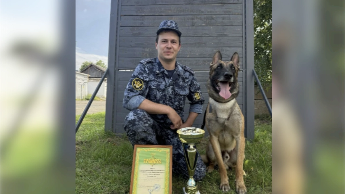 Сотрудник чепецкой колонии и его собака Гром Собака стали лучшими среди кинологов