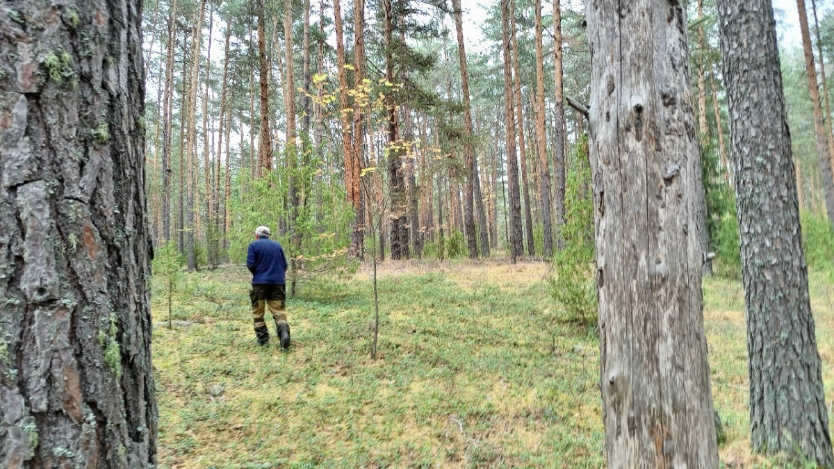 В Кировской области 88-летний пенсионер ушел из дома и пропал без вести