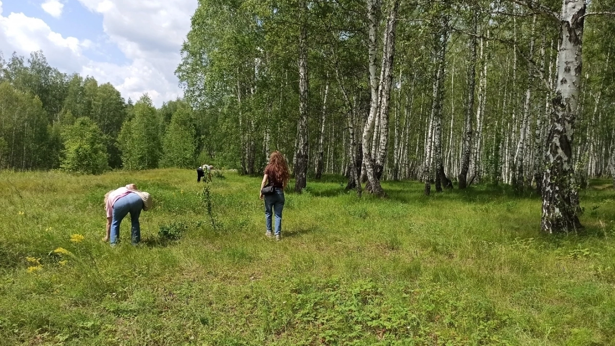 В ОАЭ из Кировской области отгрузили 364 кубометра березовой фанеры