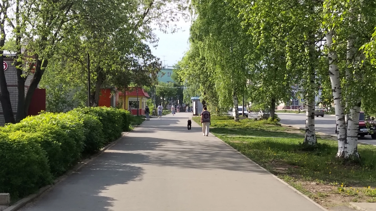 Стало известно, какой будет погода в Кирово-Чепецке 1 сентября