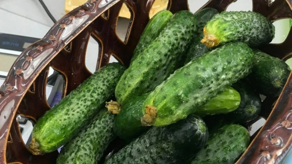 Мариную огурцы "по-царски" — хрустят, аж зубы сводит: плотные, с кислинкой, ароматные