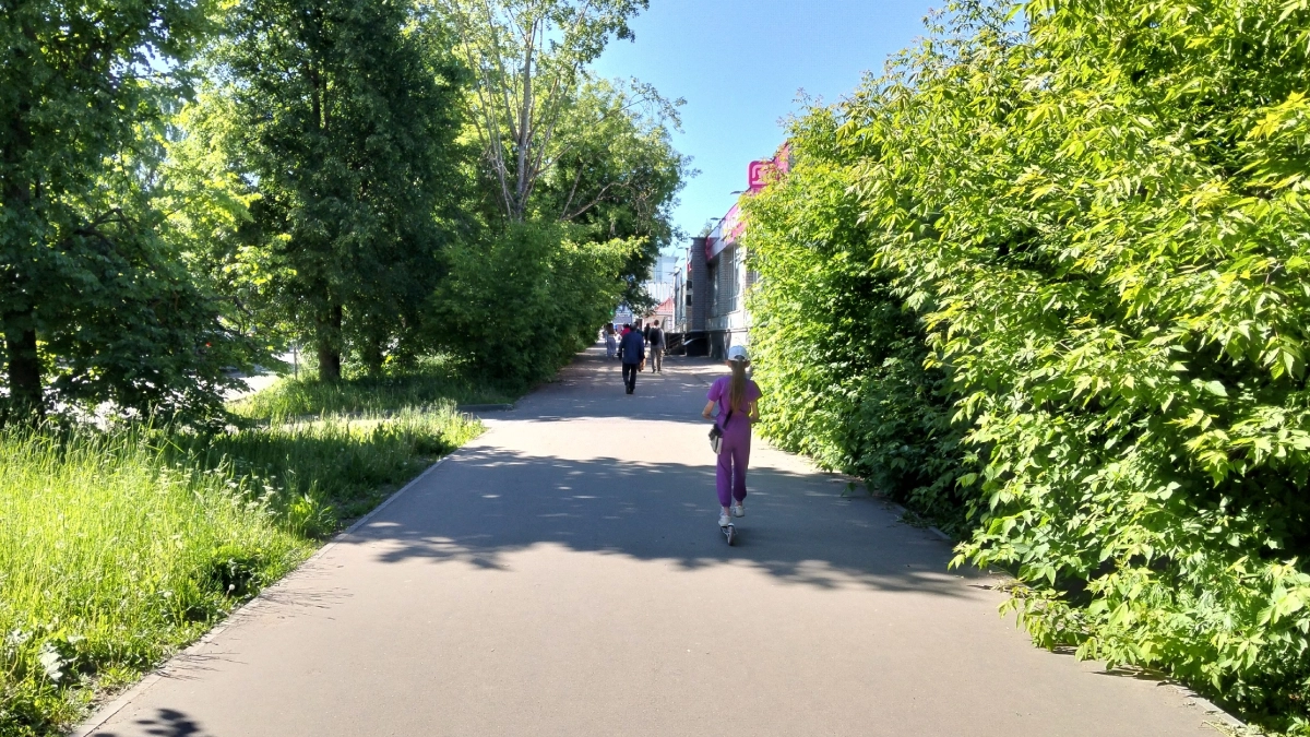 Синоптики рассказали, какой будет погода в Кирово-Чепецке 1 сентября