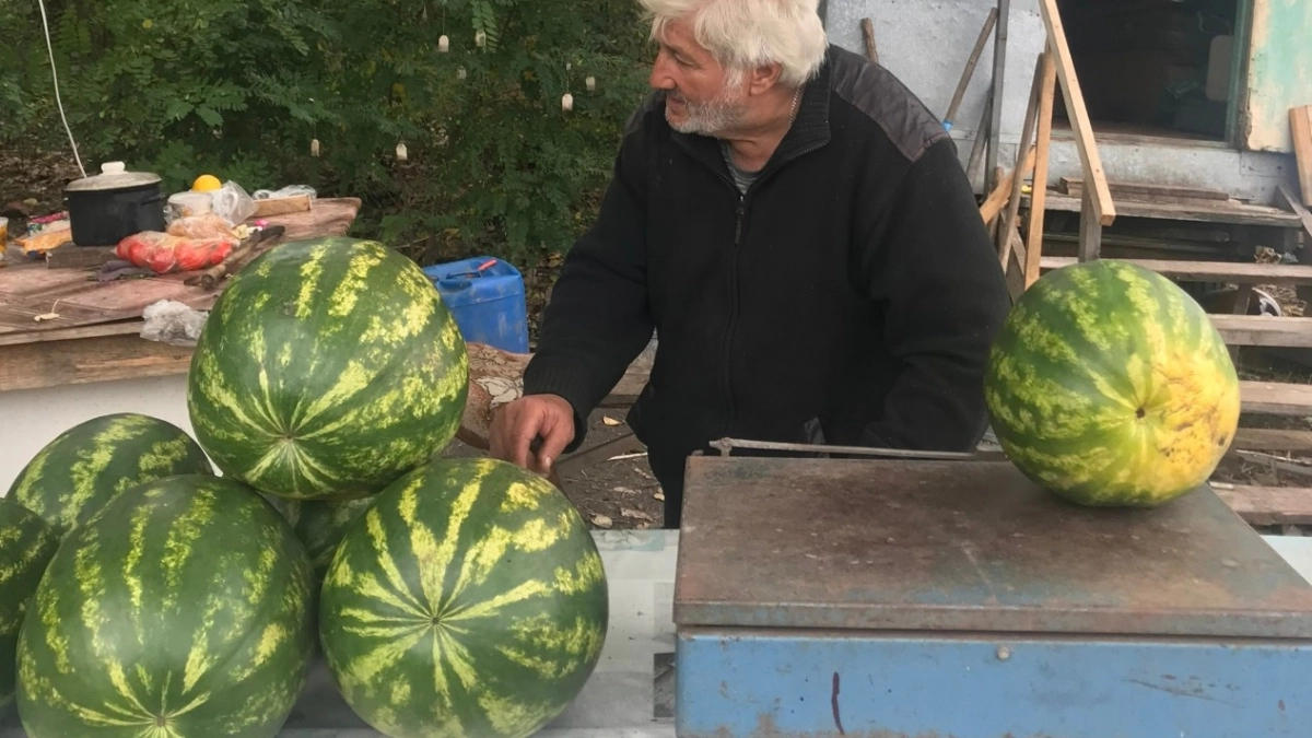 Не стучу и не выкручиваю хвостит: нахожу сладкий арбуз с помощью ногтя — ни разу не ошиблась 