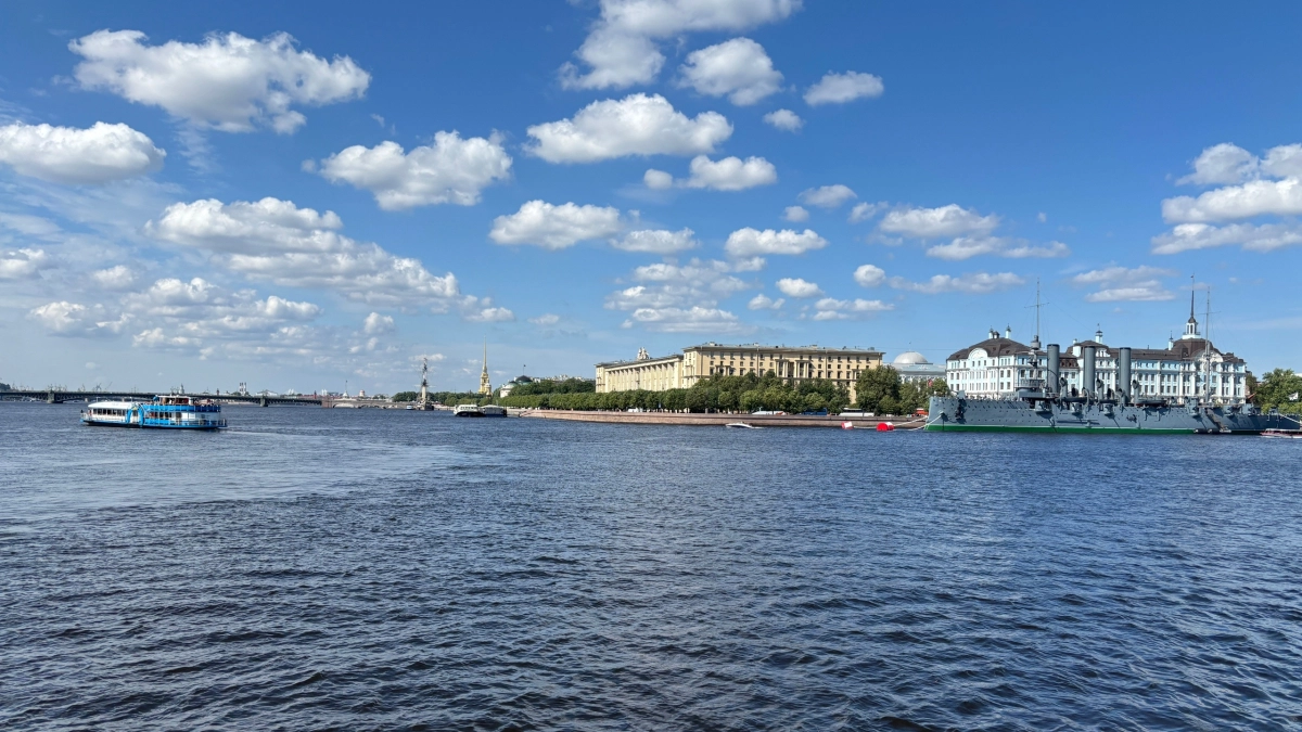 В Петербурге невеста в платье ринулась спасать утопающего родственника из Кирова
