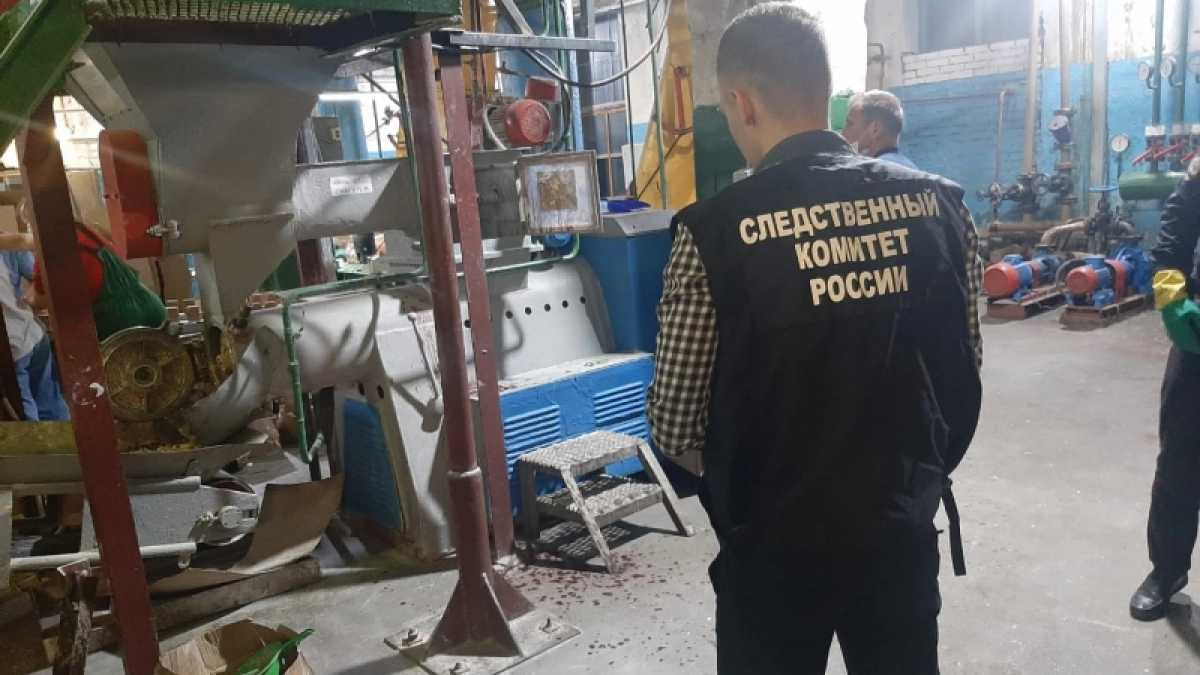 В Кирсе предприниматель ответит за покалечившегося жутким образом сотрудника