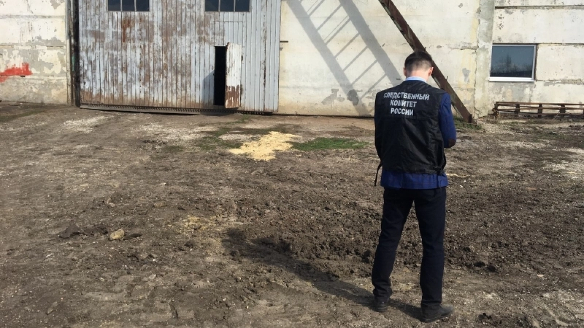 Полмиллиона рублей присудили тяжело покалечившемуся на ферме студенту из Немы