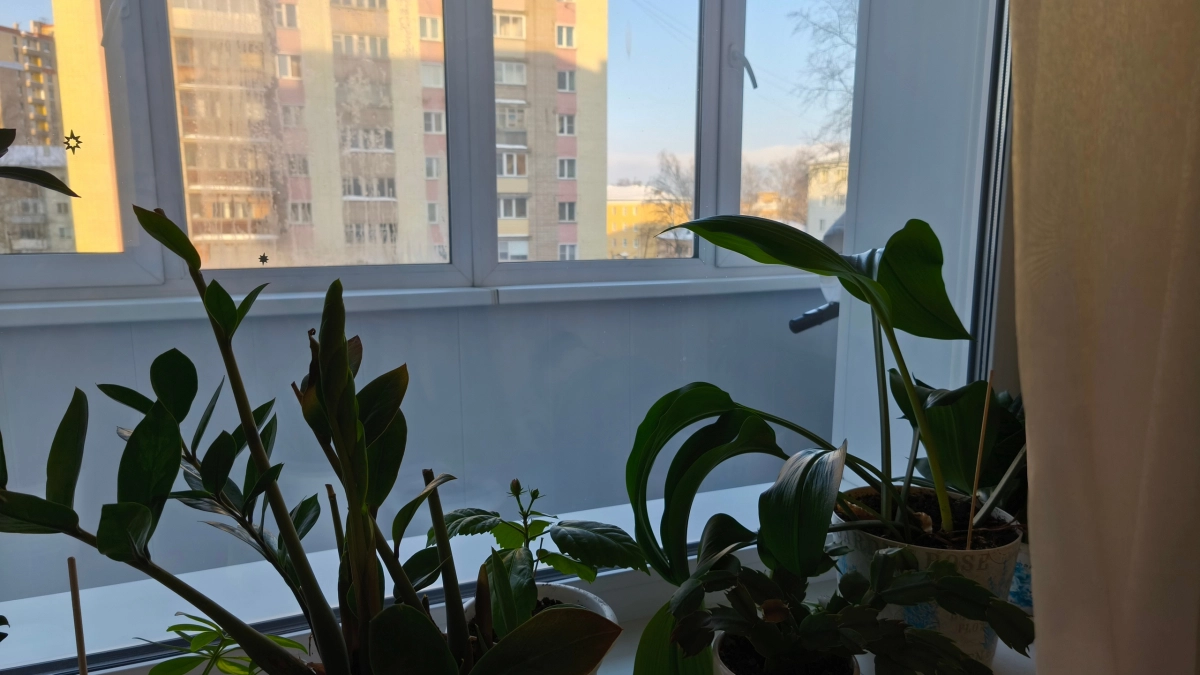 Зимой больше не заклеиваю рамы скотчем: один простой тест показывает, куда уходит тепло