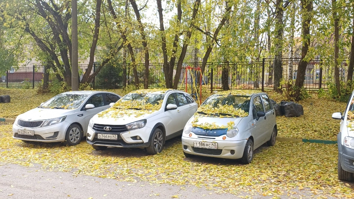 "Дело не в бензине": перекуп раскрыл, какие автомобили съедают сотни тысяч — и вы даже не заметите