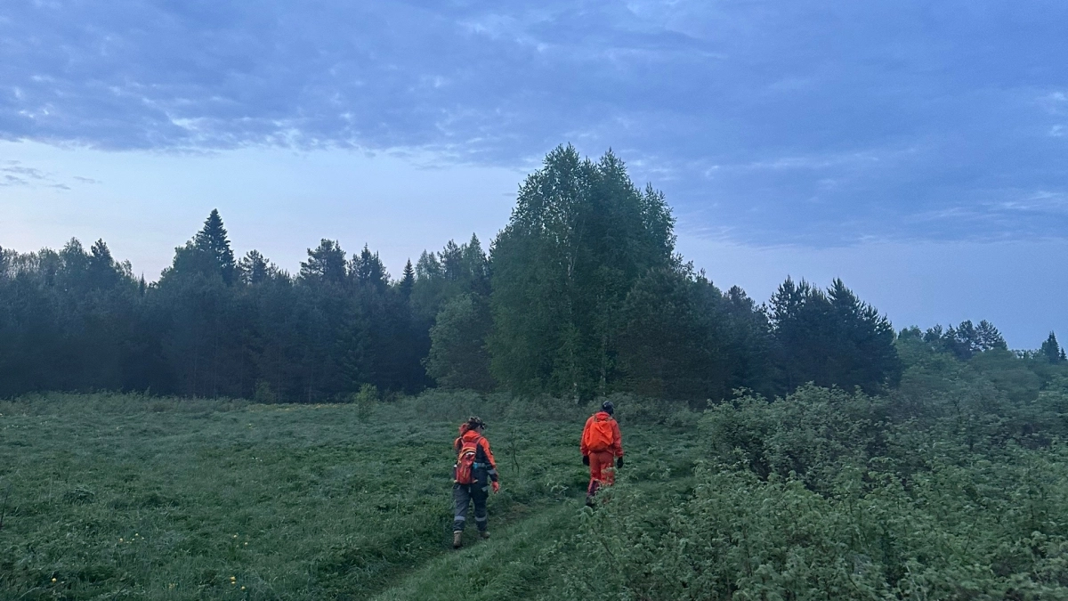 Рядом с опустевшим поселком в Даровском районе пропал человек