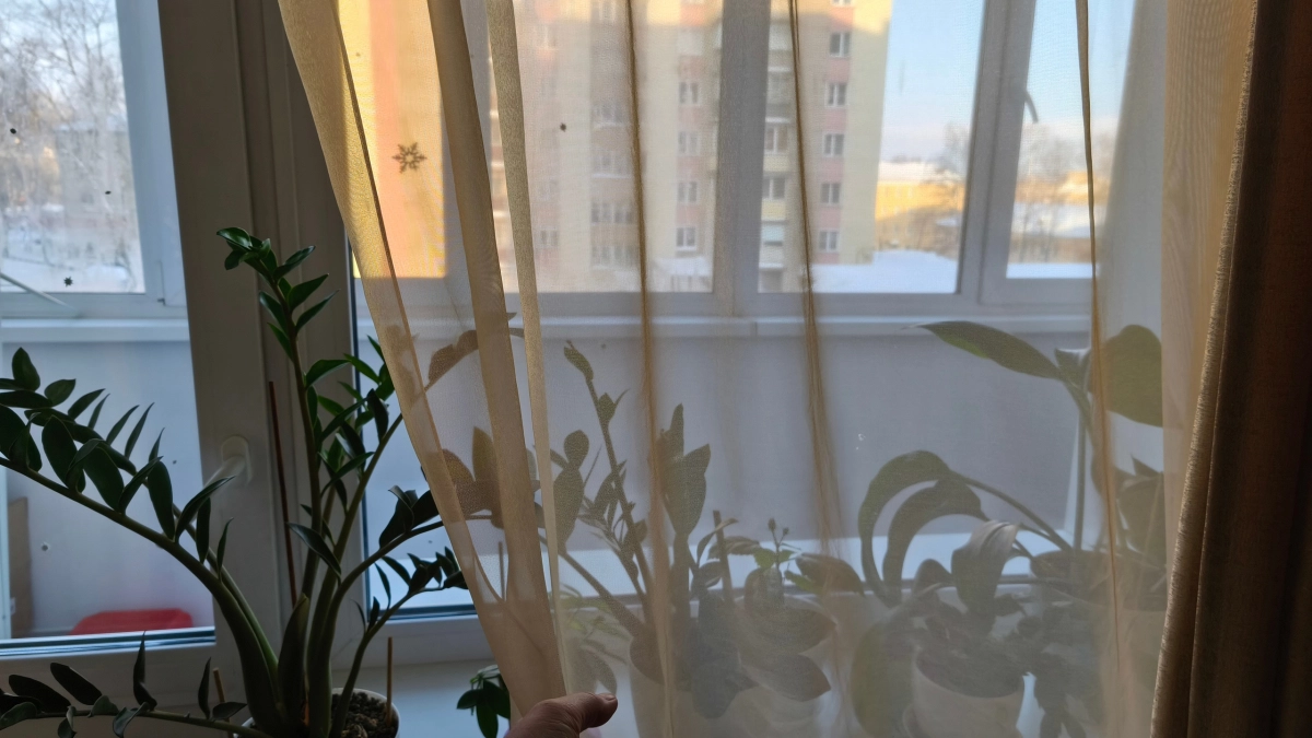 Тюль в 2026 году — старье и деревня: дизайнеры заменяют классику на окнах совсем другим материалом