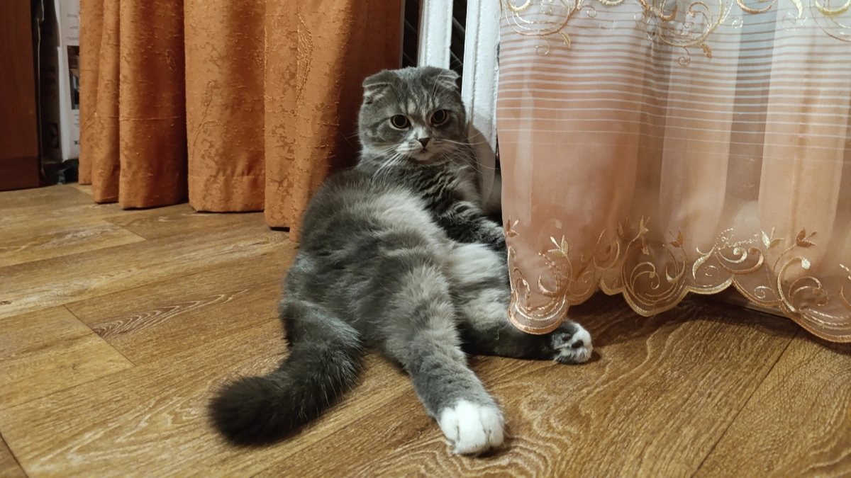 В Слободском дома начнут подключать к отоплению с 1 октября