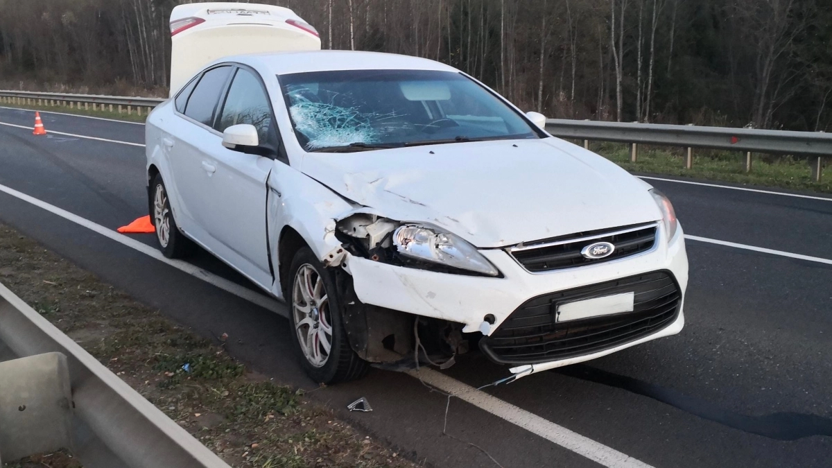 На трассе под Кирово-Чепецком Ford Mondeo насмерть сбил 81-летнего пешехода