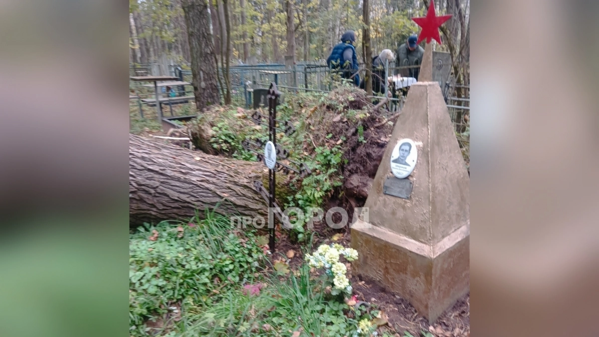 "Пришли помянуть близких, а увидели свалки": жители Кирово-Чепецка пожаловались на кладбище Злобино 